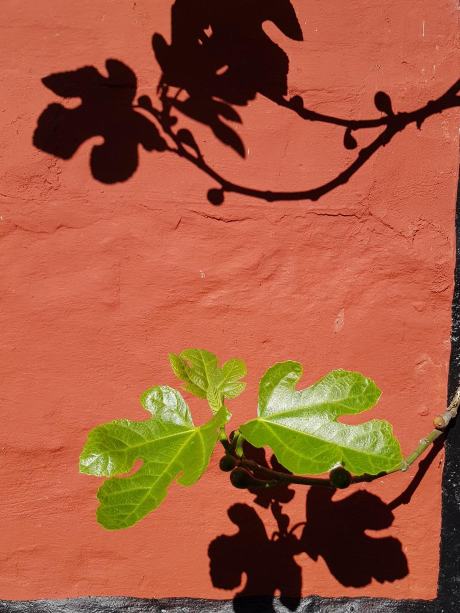 Pyttegarden Apartments Gudhjem Dış mekan fotoğraf