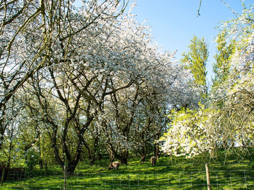 Pyttegarden Apartments Gudhjem Dış mekan fotoğraf